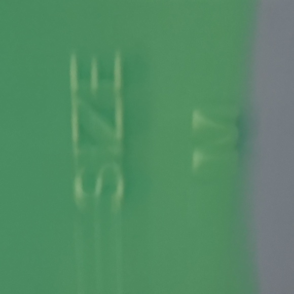 Flipper - Picture 3 of 4